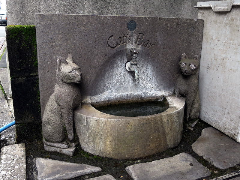 20150825 猫の水飲み場 大分県大分市府内町2-1-20「グラムビル」（2015_0825_112946）